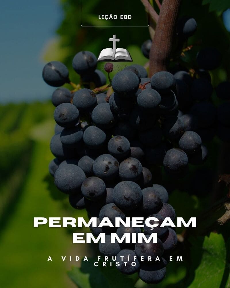 LIÇÃO 07: Permaneçam em Mim – A Vida Frutífera em Cristo.