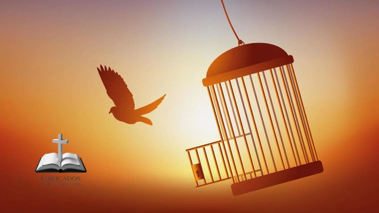 Descubra o profundo significado teológico de não pertencer a si mesmo, mas a Cristo. Uma reflexão reformada sobre nossa verdadeira identidade e esperança em todas as circunstâncias da vida.