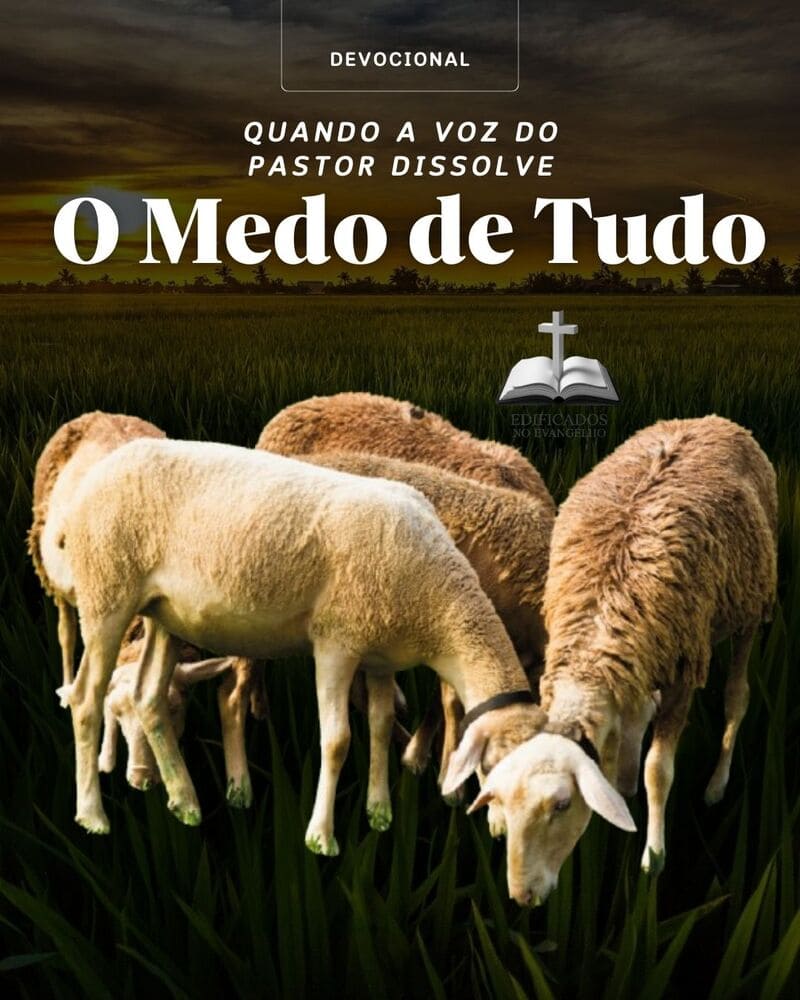 QUANDO A VOZ DO PASTOR DISSOLVE O MEDO DE TUDO