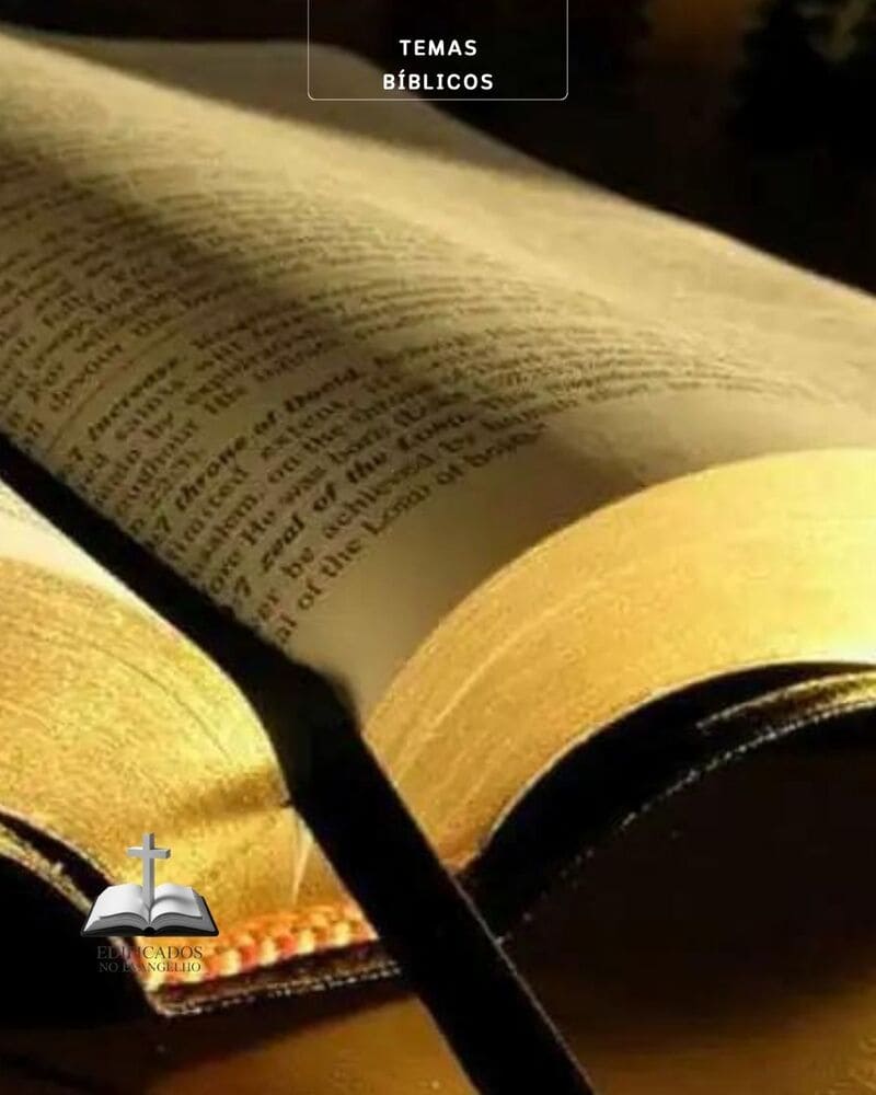 VERSÍCULOS DA BÍBLIA POR TEMAS