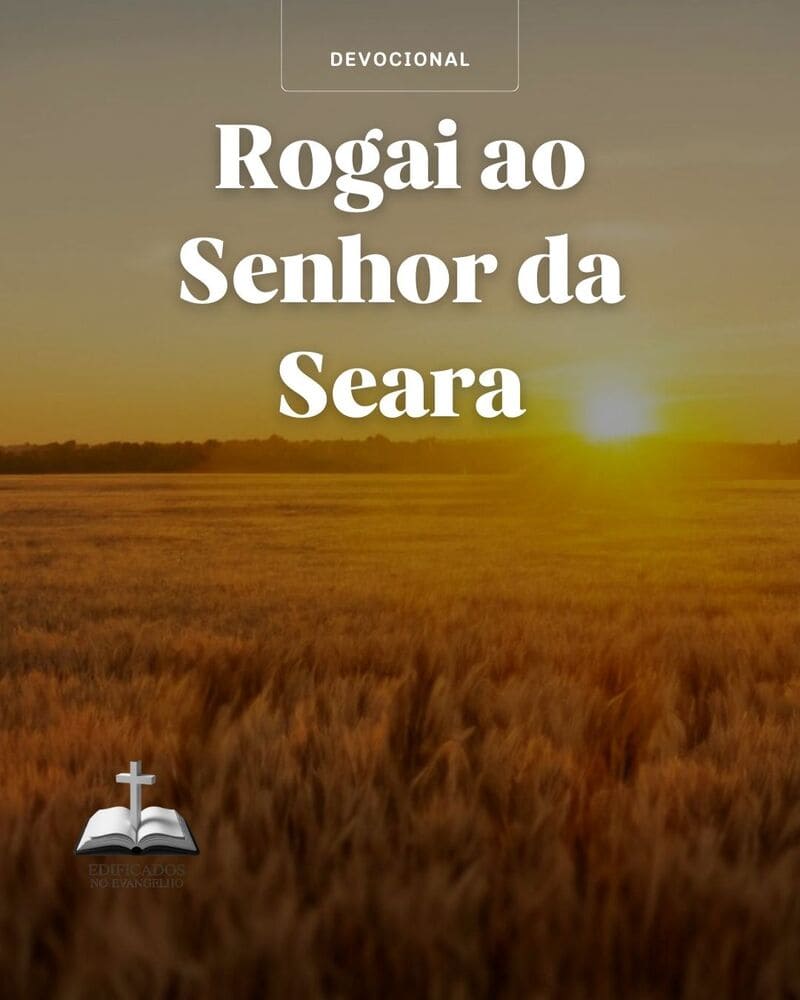 Rogai ao Senhor da Seara: A Urgência da Oração Missionária