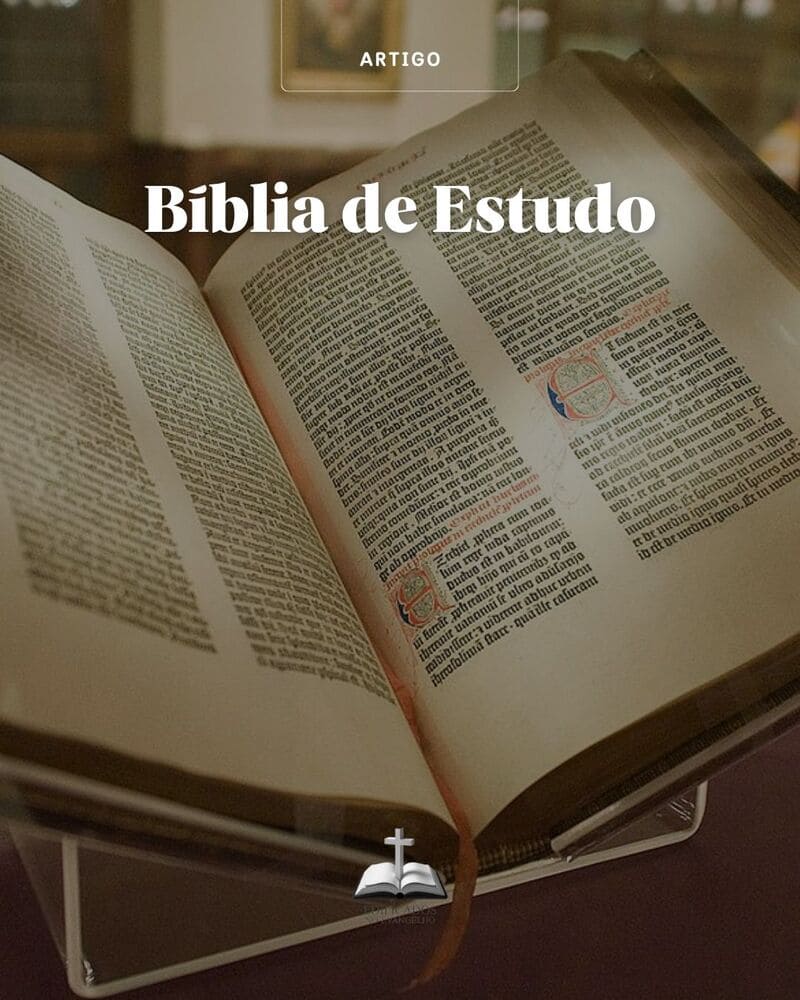 Descubra qual Bíblia de Estudo é ideal para você. Análise das 6 melhores edições em português com preços e recursos.